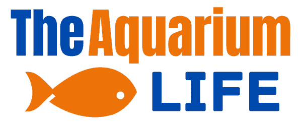 The Aquarium Life